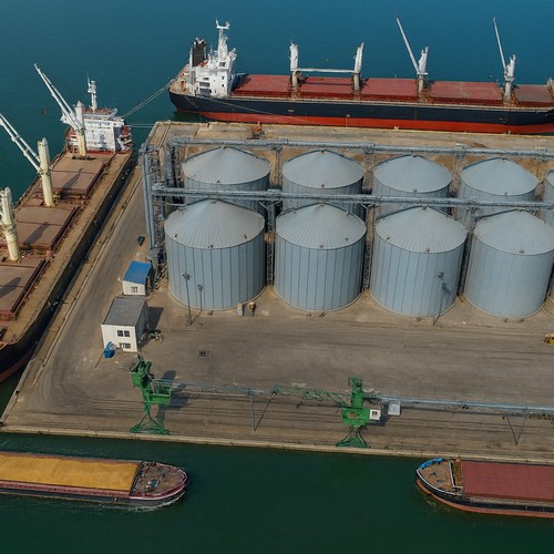 Grain terminal with cargo ships
